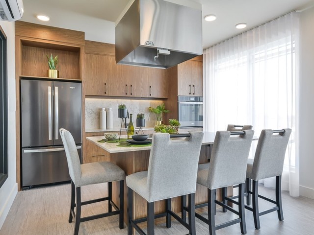 Brossard Apartment 2 b. $1,800/month. Apartment for rent in Brossard