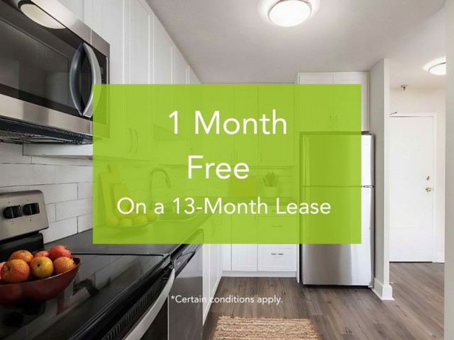 Vancouver Apartment 1-2 b. $1,599/month. Apartment for rent in Vancouver