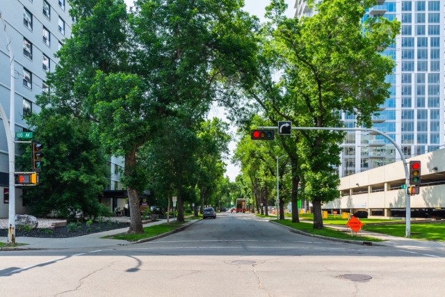 Edmonton Apartment 1 b. $1,195/month. Apartment for rent in Edmonton