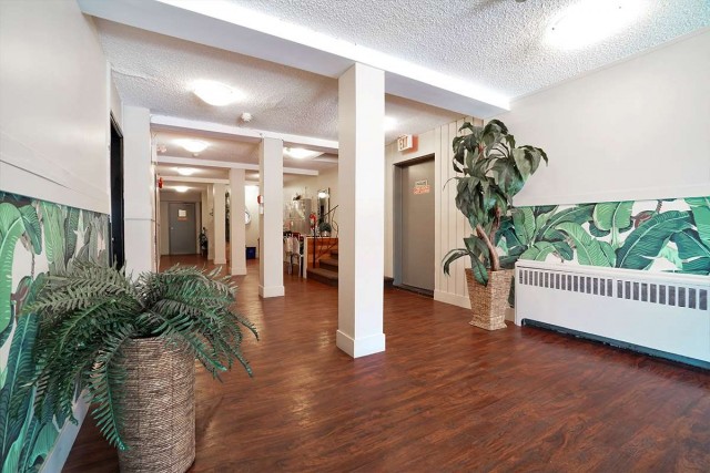 Vancouver Apartment 1 b. $1,695/month. Apartment for rent in Vancouver