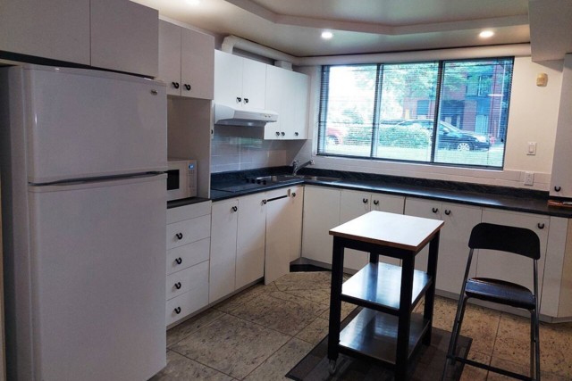 Rosemont,  Petite-Patrie  1 b. $50/day. Apartment for rent in Rosemont,  Petite-Patrie