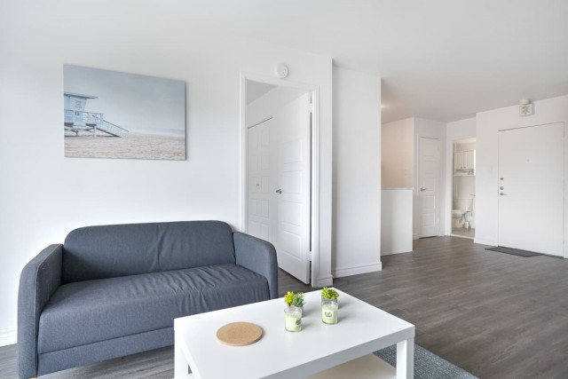 Plateau Mont-Royal Apartment Studio $1,095/month. Apartment for rent in Plateau Mont-Royal