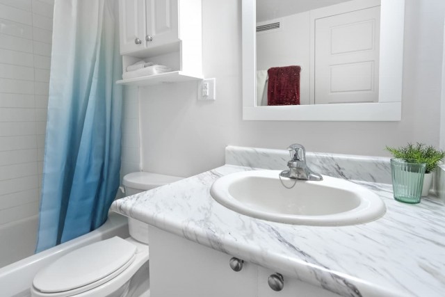 Plateau Mont-Royal Apartment Studio $1,095/month. Apartment for rent in Plateau Mont-Royal