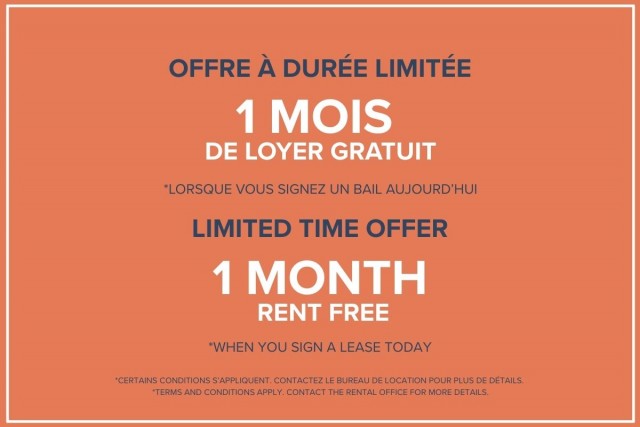 Hochelaga-Maisonneuve Apartment 1 b. $1,470/month. Apartment for rent in Hochelaga-Maisonneuve