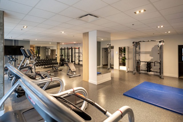 Quartier latin and south-central Apartment Studio $1,490/month. Apartment for rent in Quartier latin and south-central