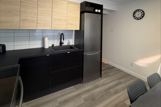 Hochelaga-Maisonneuve  1 b. $58/day. Apartment for rent in Hochelaga-Maisonneuve