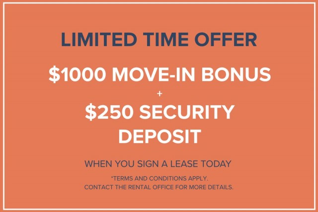 Calgary Apartment Studio $1,185/month. Apartment for rent in Calgary