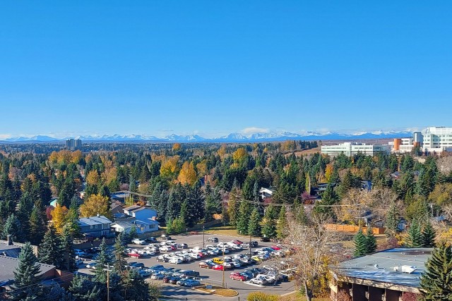 Calgary Apartment Studio $1,185/month. Apartment for rent in Calgary