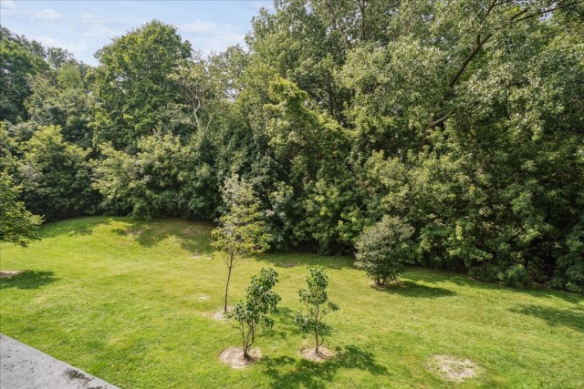 Mississauga Apartment 1 b. $2,230/month. Apartment for rent in Mississauga