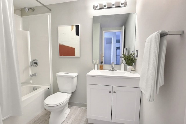 Regina Apartment 2 b. $1,495/month. Apartment for rent in Regina