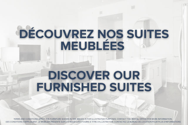 Downtown - Montreal Apartment 1 b. $1,360/month. Apartment for rent in Downtown - Montreal