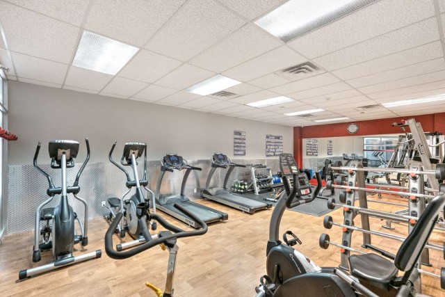 Plateau Mont-Royal Apartment 2 b. $1,945/month. Apartment for rent in Plateau Mont-Royal