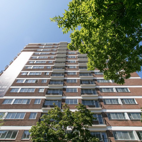 Plateau Mont-Royal Apartment 1 b. $1,525/month. Apartment for rent in Plateau Mont-Royal