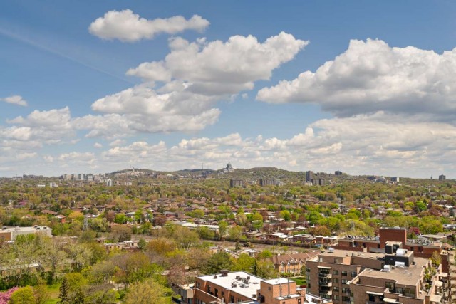 Cote-Saint-Luc Apartment 1 b. $1,250/month. Apartment for rent in Cote-Saint-Luc