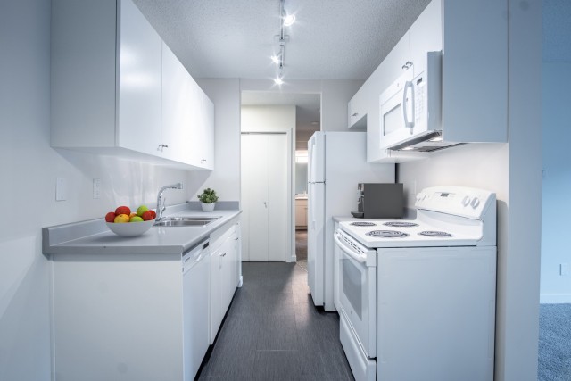 Saskatoon Apartment 1 b. $1,245/month. Apartment for rent in Saskatoon