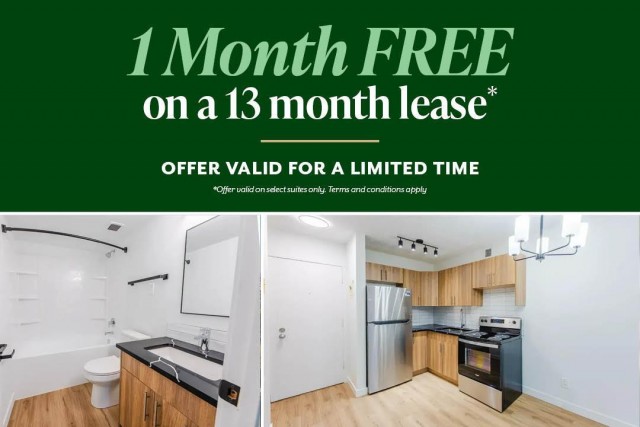 Calgary Apartment 1 b. $1,295/month. Apartment for rent in Calgary