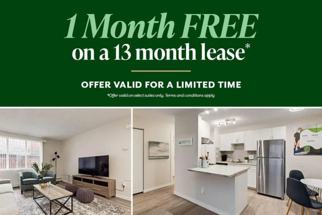 Calgary Apartment Studio $1,380/month. Apartment for rent in Calgary