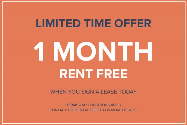Calgary Apartment 1 b. $1,350/month. Apartment for rent in Calgary