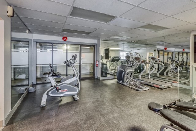 Calgary Apartment 1 b. $1,350/month. Apartment for rent in Calgary