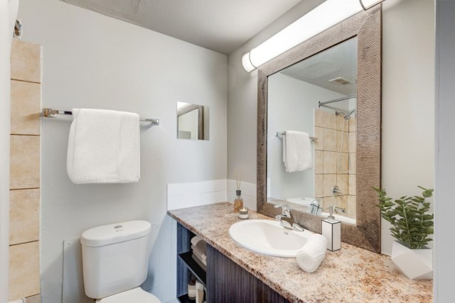 Calgary Apartment 1 b. $1,350/month. Apartment for rent in Calgary
