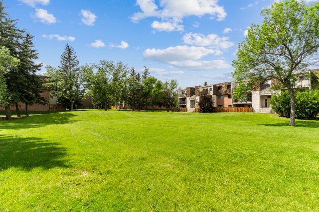 Calgary Apartment 1 b. $1,325/month. Apartment for rent in Calgary