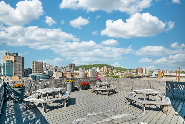 Quartier latin and south-central Apartment Studio $1,135/month. Apartment for rent in Quartier latin and south-central
