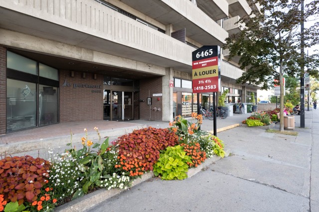 Mercier and Nouveau-Rosemont Apartment 1 b. $1,195/month. Apartment for rent in Mercier and Nouveau-Rosemont