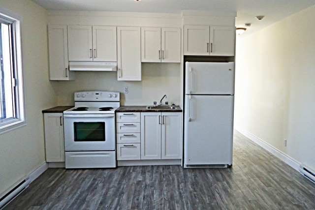 Dollard-des-Ormeaux Apartment 2 b. $1,395/month. Apartment for rent in Dollard-des-Ormeaux
