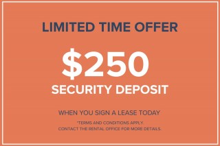 Property #180449