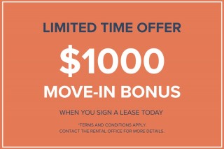 Property #180255