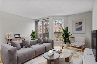 Property #228246