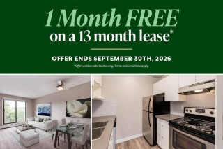 Property #229989