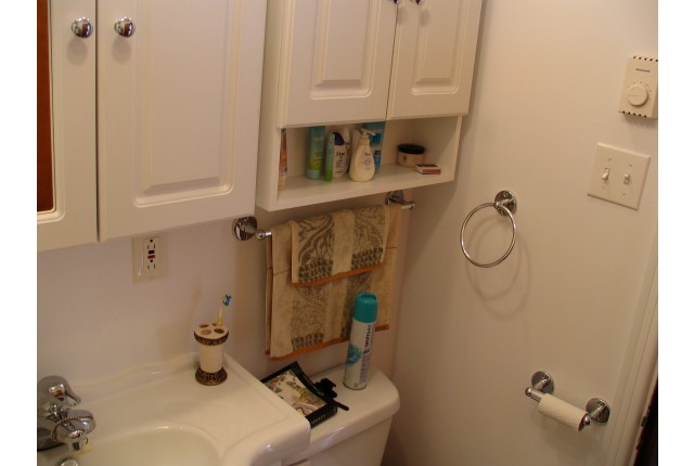 Rosemont,  Petite-Patrie Plex 1-2 b. $1,250/month. Apartment for rent in Rosemont,  Petite-Patrie