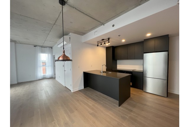 Quartier latin and south-central Condo 2 b. $2,150/month. Apartment for rent in Quartier latin and south-central